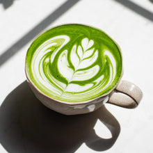 Tradition Matcha Green Tea Powder 8,8 Oz. X 24 Factory Case