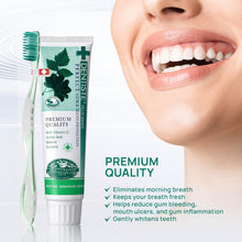 Dentiste Premium Nighttime Herbal Toothpaste For Fresh Morning Breath Net Wt. 3.5 oz. (100 g.)