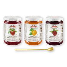 D'Arbo Trio Set Fruit Spreads - Apricot, Raspberry, and Strawberry- 16 Oz. (454 G) Each X 3 with Gold Stainless Steel Stirring/Spreader Spoon (4-Pc Set)