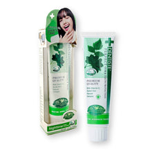 Dentiste Premium Nighttime Herbal Toothpaste For Fresh Morning Breath Net Wt. 3.5 oz. (100 g.)