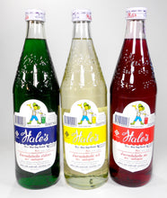 Hale's Blue Boy Syrups, Sala Cyder, Cream Soda, or Mali Original Syrups from Thailand 24 Fl. Oz.