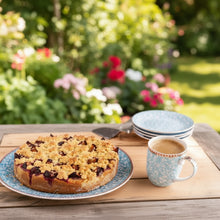 Kathi German Streusel Cake Mix 14.8 Oz./ 420 g (Pack of 2)