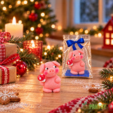 Funsch Marzipan Piglet with Mushroom Gift Bag 3.52 oz / 100 g. (Pack of 2)