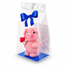 Funsch Marzipan Piglet with Mushroom Gift Bag 3.52 oz / 100 g. (Pack of 2)