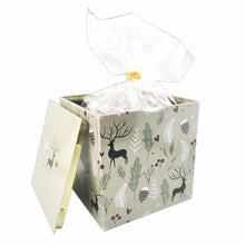 Wicklein Nurnberger Gingerbread Oblaten-Lebkuchens ASSORTED Holiday Gift Tin 7.05 Oz./200 g. Each