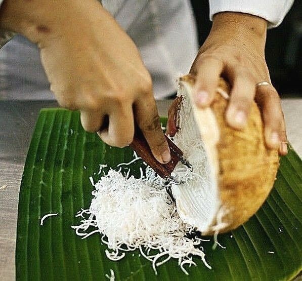  Fresh Coconut Shredder Handy Scraper Portable Metal Stainless  Steel Knife Best Food Grater Removal Tools Home Grinder Hand Held Thai  Traditional Style Buy Online: Home & Kitchen